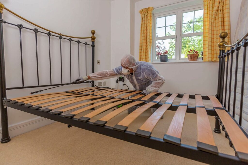 Best Pesticides for Bed Bugs in Kenya