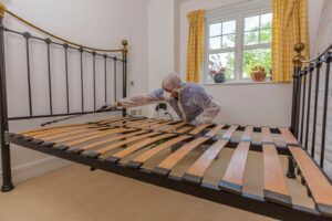 Best Pesticides for Bed Bugs in Kenya