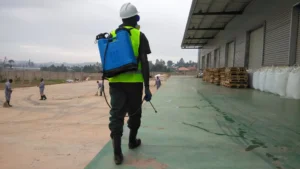 Effective Insecticides and Pesticides in Kenya