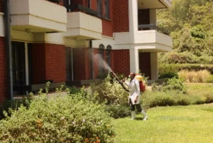 Fumigation Services Prices in Nairobi Kenya